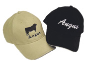 Angus-lippalakki